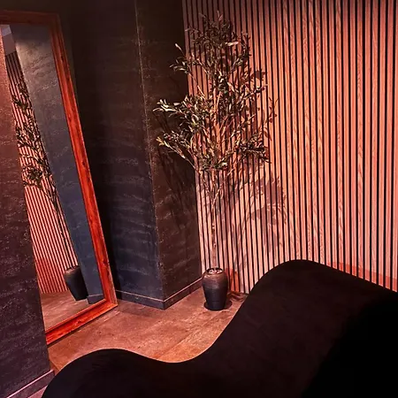 Appartement Intime Avec Sauna A Guebwiller